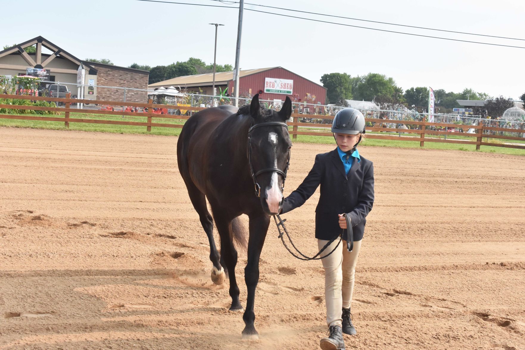 Sauk County Fair